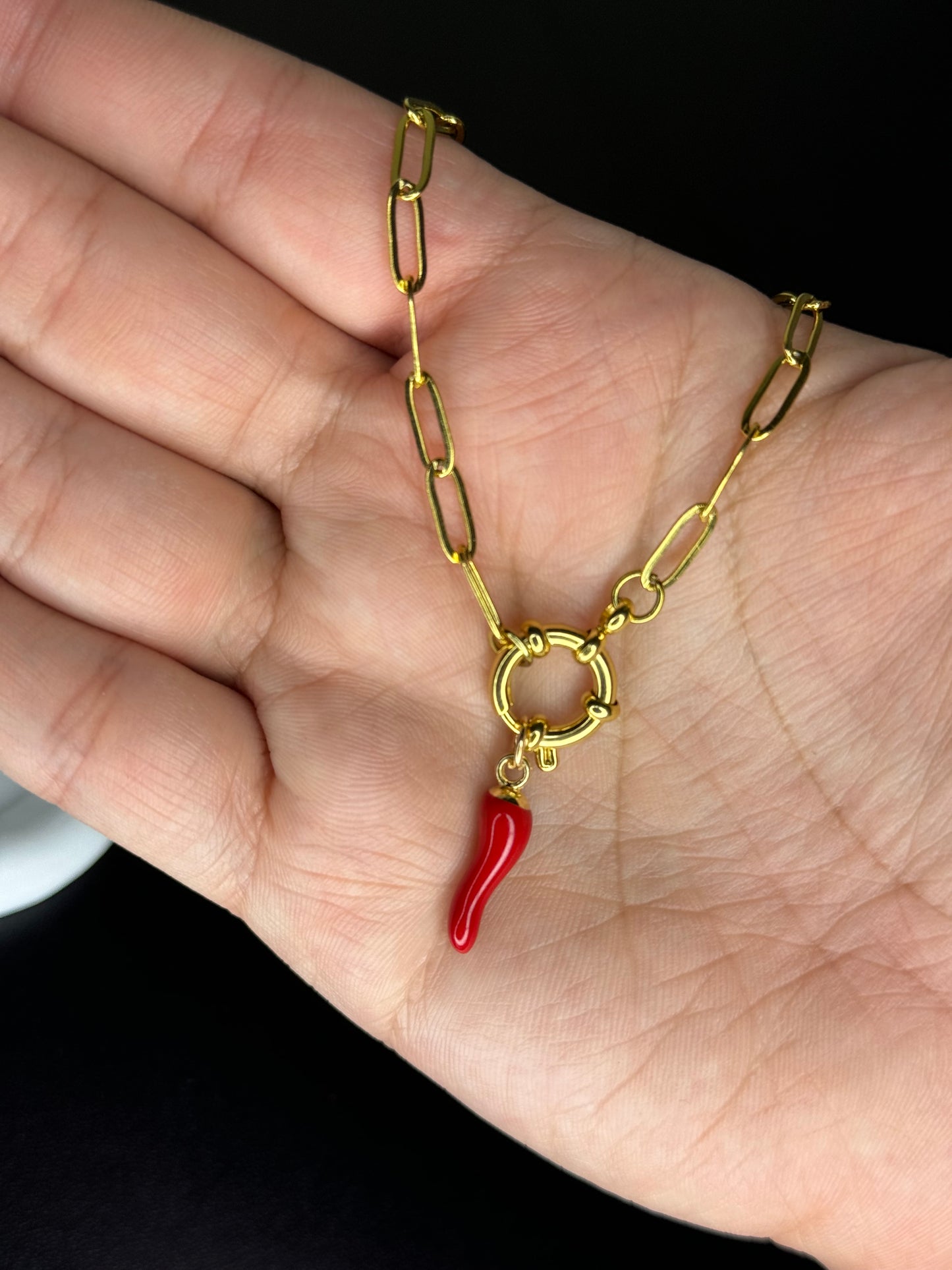 AJI PEQUEÑ + CADENA CLIP Y BROCHE